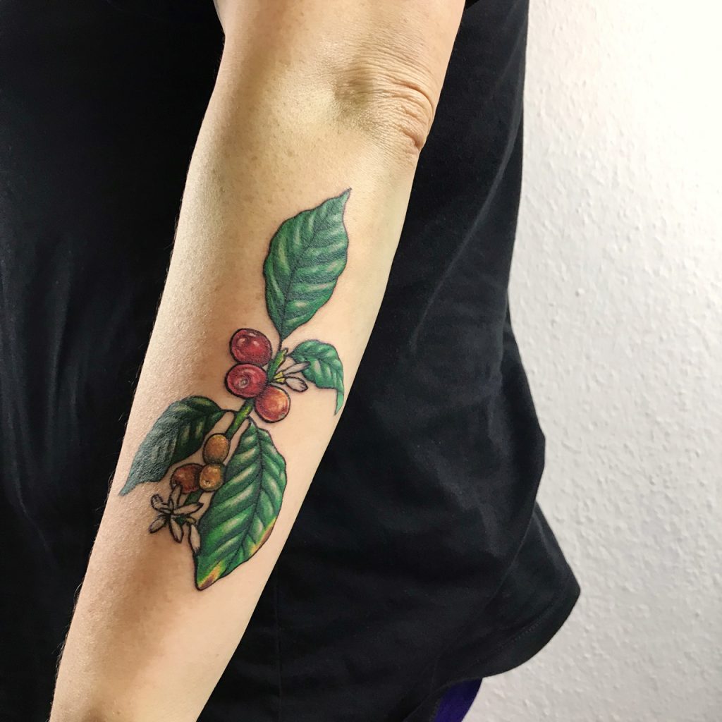 colorful coffee plant tattoo on arm, botanical tattoo