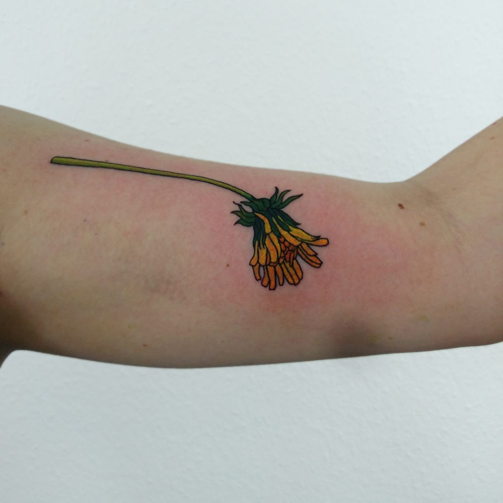 colorful botanical dandelion tatoo