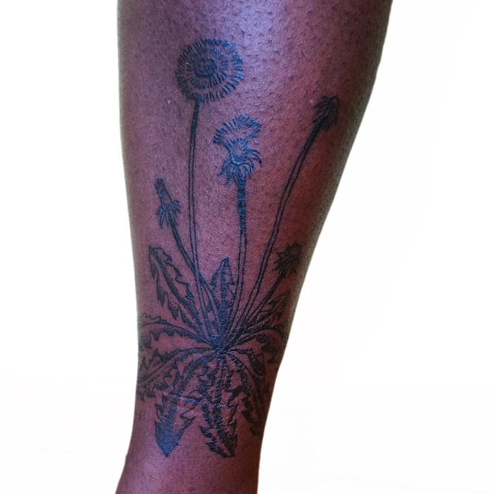Botanical dandelion tattoo in lineworktattoo and woodcuttattoo style