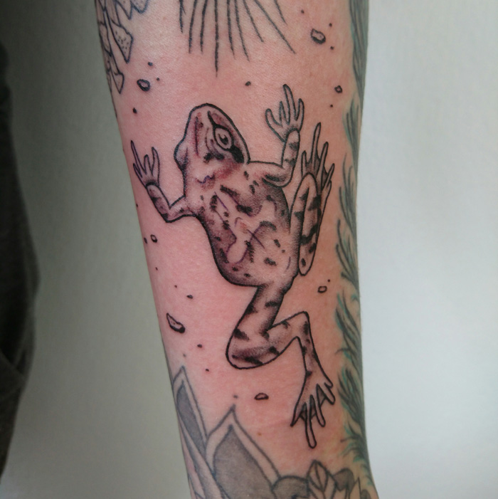 Small tattoo of frog in balck and grey on lower arm