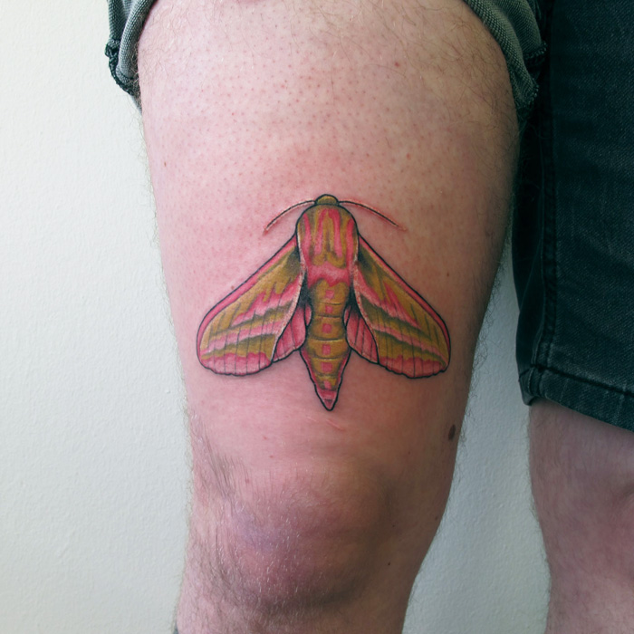 colorful moth tattoo on thigh