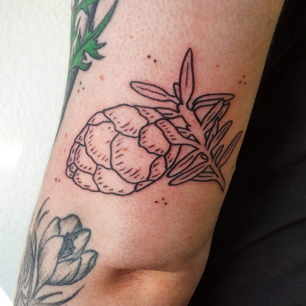 Botanical cone tattoo over elbow in lineworktattoo and woodcuttattoo style