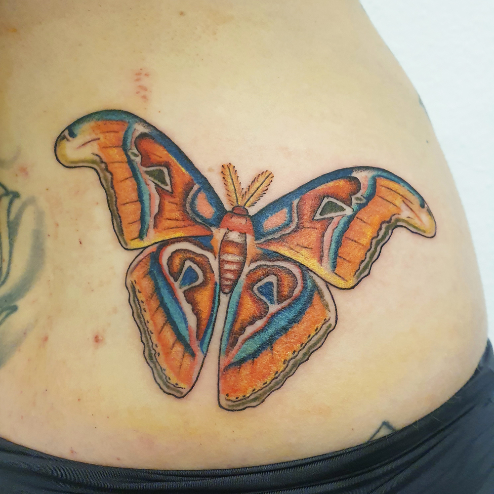 Colorful tattoo of an atlas moth, botanical tattooing