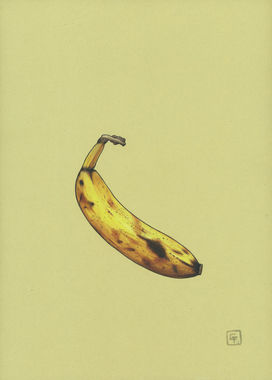 Bunte botanische Illustration einer Banane auf Naturpapier.