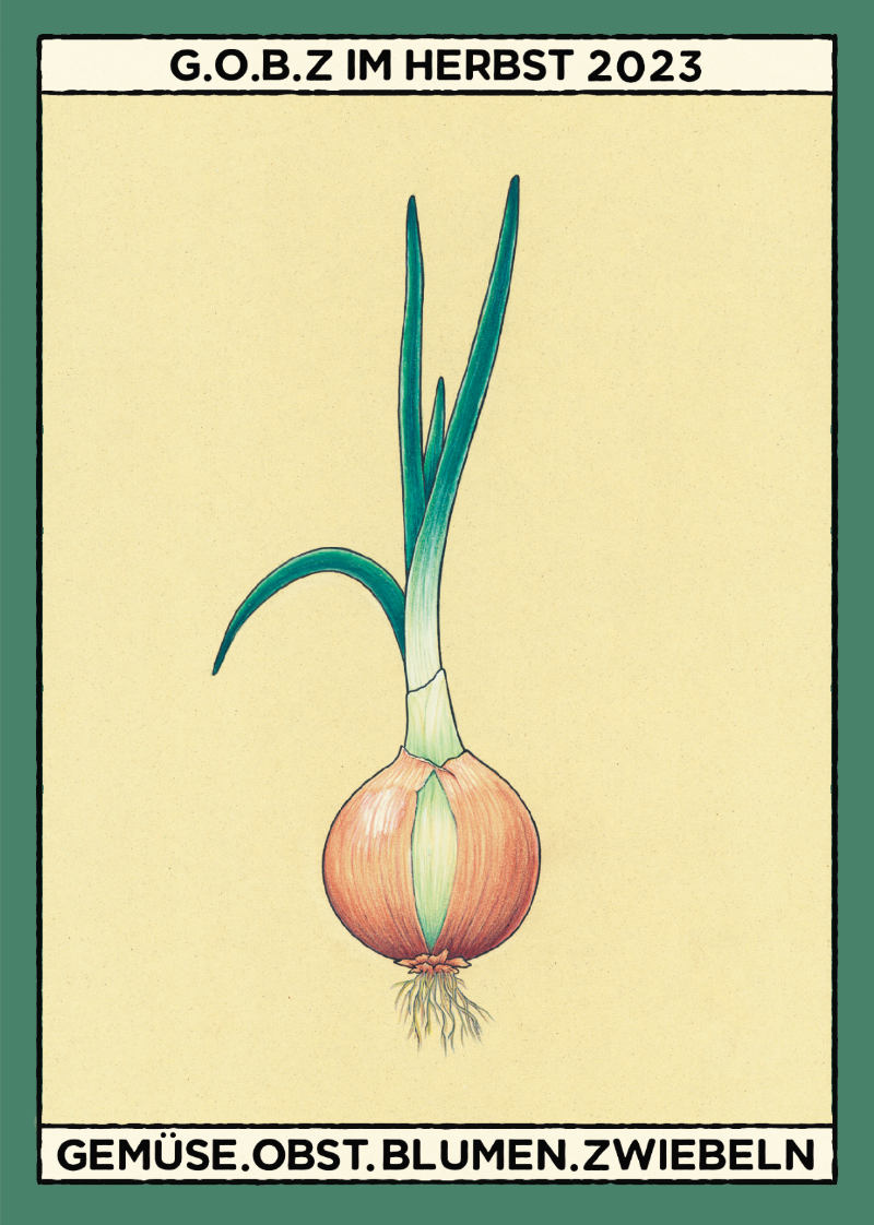 Illustration of a yellow onion. Flyer says: G.O.B.Z im Herbst 2023 on the top and Gemüse. Obst. Blumen. Zwiebel on the bottom.